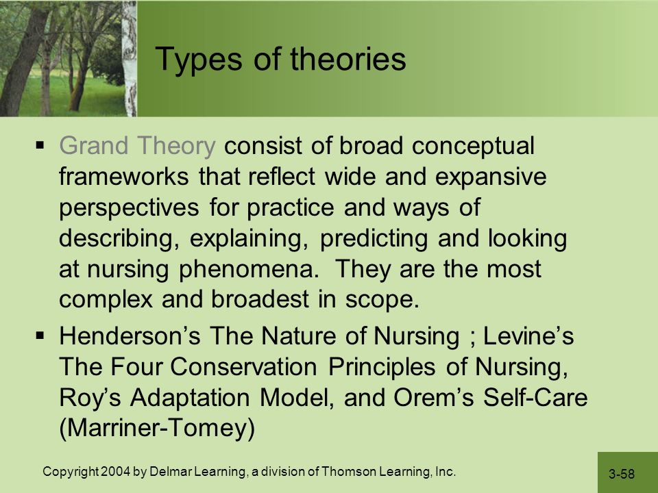 Levine’s Conservation Model in Nursing Practice